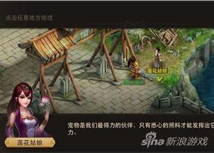 杨小姐出马爆料视频,独家爆料视频背后的惊人真相